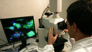 Dall'Ue 20,4 milioni per avvicinare le applicazioni della ricerca