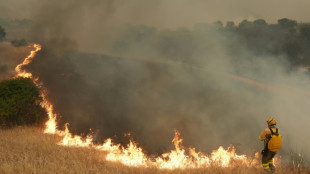 Mais de 175.000 deslocados por inc&ecirc;ndios que assolam Espanha e Fran&ccedil;a