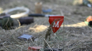 Finland to withdraw from anti-personnel mine ban treaty