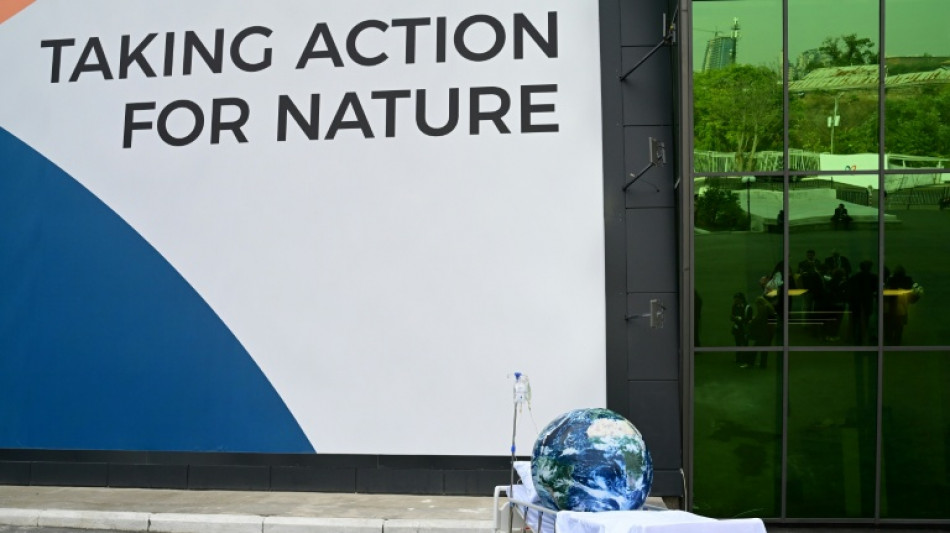 UN nature talks in extra time as nations struggle to reach deal