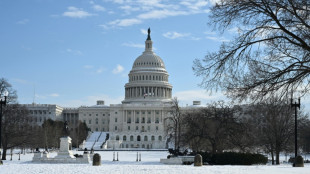 Apr&egrave;s Minneapolis, les Etats-Unis se dirigent vers une paralysie budg&eacute;taire partielle