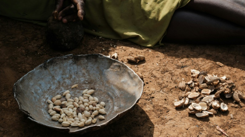 Trapped, starving and afraid in besieged Sudan city