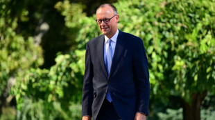 Merz zu Richterwahl: Von AfD oder Linkspartei müssten Abgeordnete zustimmen