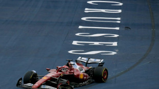 F1 - GP du Brésil: Leclerc contraint à l'abandon, Piastri sanctionné