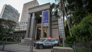 Diebe stehlen Matisse-Kunstwerke aus Bibliothek in Brasilien