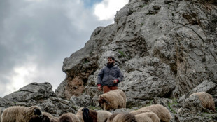 Iraqi Kurdish shepherds stoic in face of yet another war