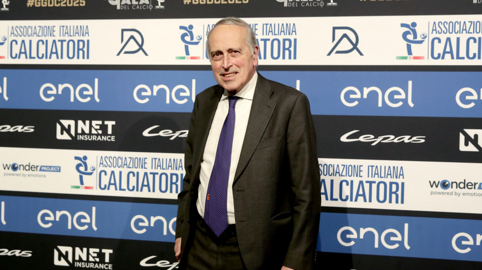 Crisi calcio: Abete, ora le componenti faranno le loro riflessioni'