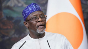 Nigeria, Niger foreign ministers meet for security talks
