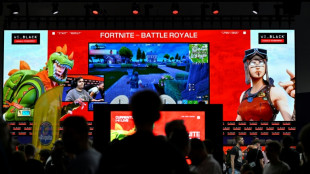 No 'silver bullet' for video game age restrictions: PEGI chief