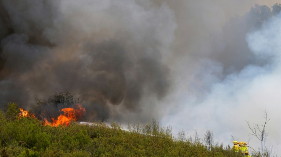 Pedro Sánchez propone un pacto nacional ante "la emergencia climática" en plenos incendios en España
