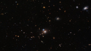 Il telescopio Euclid ha scoperto i quasar pi&ugrave; antichi del cosmo