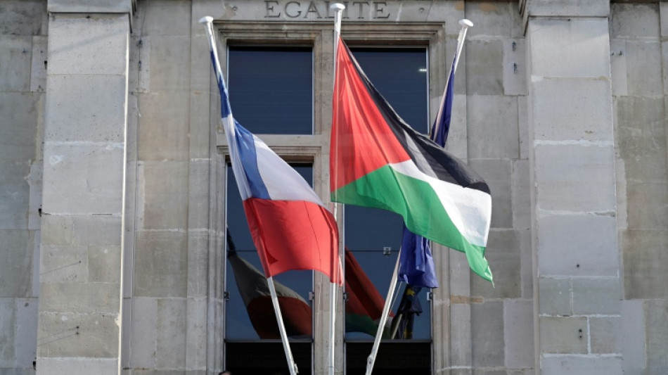 Dozens of French towns flout government warning to fly Palestinian flag