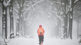 Wetterdienst: Januar in Deutschland teils so schneereich wie seit 2010 nicht mehr