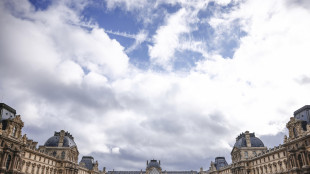 'Evadete al Louvre', museo cancella lo slogan dal sito web