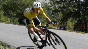 Tour: Pogacar doma l'Alpe d'Huez e batte il record di Pantani
