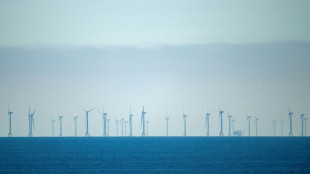 Gro&szlig;auftrag f&uuml;r Neptun-Werft in Rostock