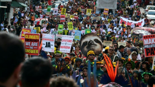 Brasil avanza en nuevas demarcaciones de tierras ind&iacute;genas