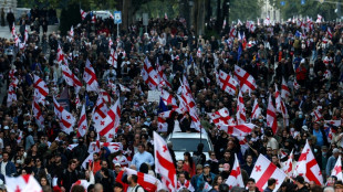 Georgian police fire tear gas as protesters try to enter presidential palace