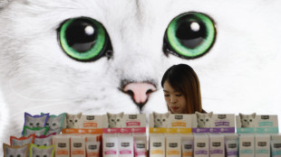 Corre la 'pet economy', spesa a 6,7 miliardi, +76% in 10 anni