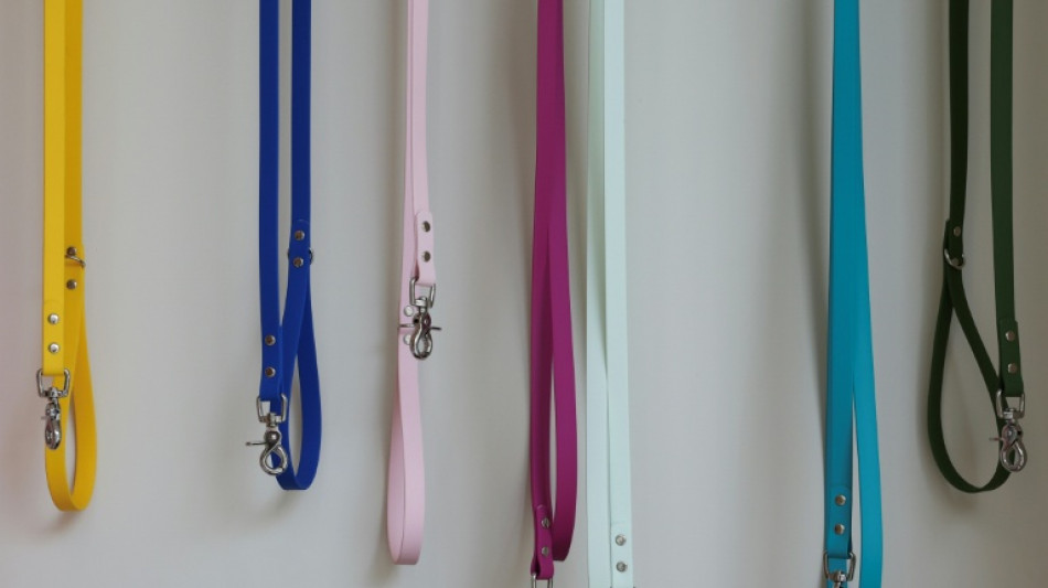 Nach Bei&szlig;vorfall nahe Trier: Halter von gef&auml;hrlichem Hund muss Tier abgeben