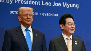 Trump erh&ouml;ht Z&ouml;lle auf ausgew&auml;hlte G&uuml;ter aus S&uuml;dkorea auf 25 Prozent
