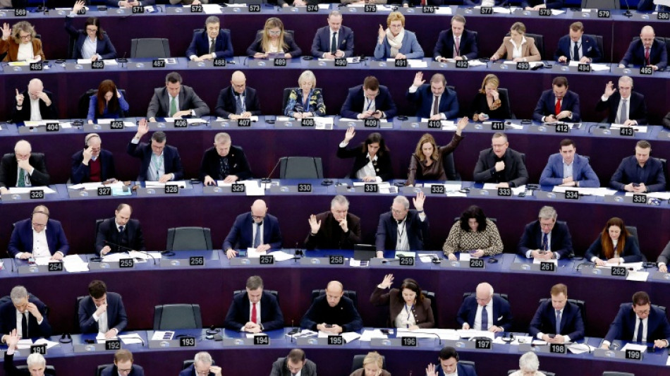 Kritik an Gr&uuml;nen nach Mercosur-Abstimmung - auch in eigenen Reihen