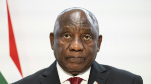 La venta de oro del FMI, entre las medidas para hacer frente a la deuda africana, indica un informe para el G20