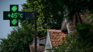 Canicule: une grande partie de la France étouffe, le mercure bat des records