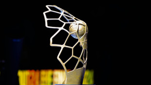 Final Four: Füchse gegen Nantes - Magdeburg gegen Barcelona