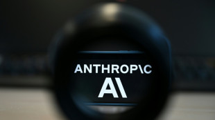Kapitalbeteiligung: AMD will Milliarden in Anthropic investieren
