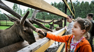 En Russie, la lutte désespérée des écologistes pour sauver un parc national