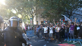 'Palestine wins the Vuelta': Gaza demo halts cycling finale in Madrid