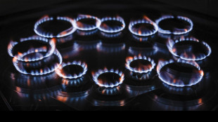 Il gas scende sotto i 33 euro sulla piazza Ttf di Amsterdam