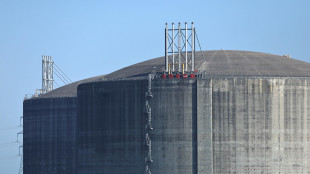 Moody's, se chiuso a lungo Hormuz gas potenzialmente a 100 euro