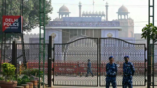 &Iacute;ndia afirma que prendeu c&uacute;mplice de explos&atilde;o de carro em Nova D&eacute;lhi 