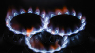 Il gas sale a 41,90 euro con le minacce di chiusura Hormuz