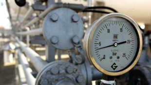 Il prezzo del gas chiude in lieve rialzo a 34,4 euro