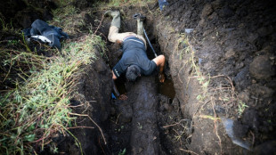 Dans le marais de Brière, des chênes enfouis témoins de l'histoire du climat