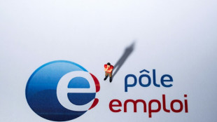 Apr&egrave;s une fuite, des donn&eacute;es de millions de demandeurs d'emploi en vente sur le web