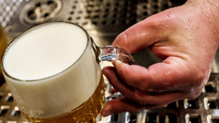 Via libera alla birra all'uva, ammessi ingredienti vino ma indicazione in etichetta