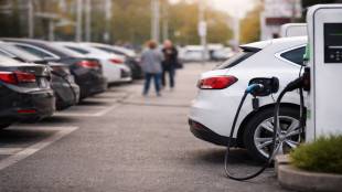 Alemanha: o &laquo;boom&raquo; dos carros el&eacute;tricos continua fr&aacute;gil