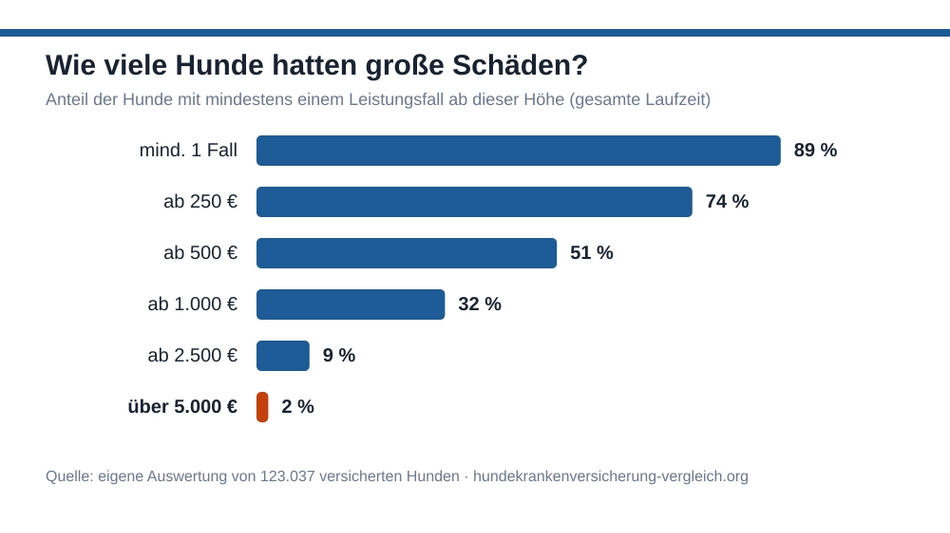 79 % der Hunde brauchen jedes Jahr den Tierarzt